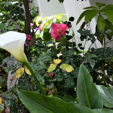 Ferienhaus 1 Limassol